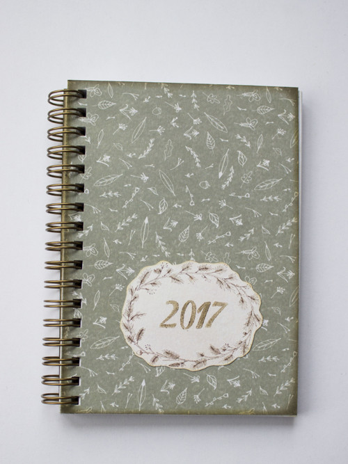 Lupeny posetý - DIÁŘ 2017 — foto 2