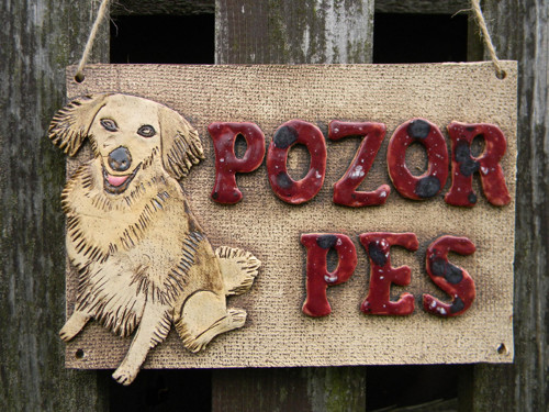 Pozor pes — foto 2