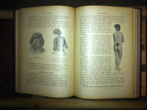 Domácí lékařka 1925 - - - ( rádce našich babiček) — foto 5