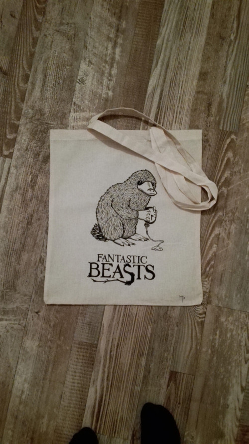 Fantastic Beasts / Fantastická zvířata — foto 2