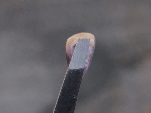 Čaroit D7427 — foto 3