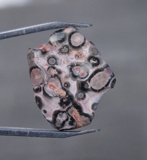 Jaspis leopardí D7483 — foto 2
