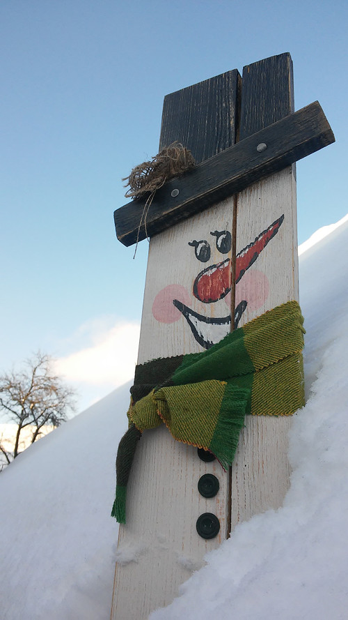 Sněhulák dřevěný — foto 2