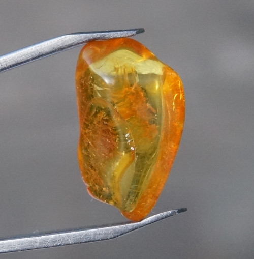 Jantar D7511 — foto 2