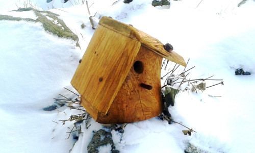 Ptačí domeček — foto 5