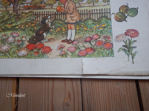 Živá abeceda — foto 2