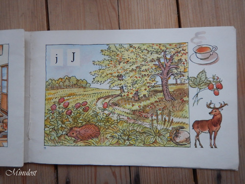 Živá abeceda — foto 5