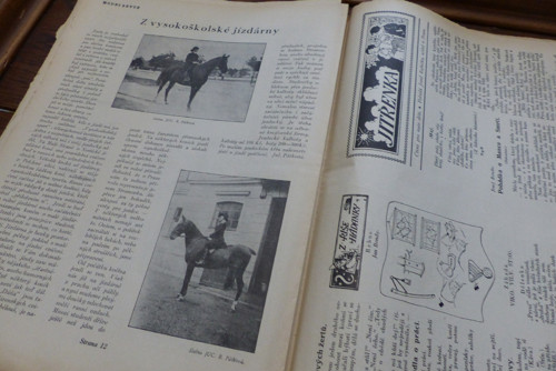 Módní revue... časopis 21/1929 — foto 5