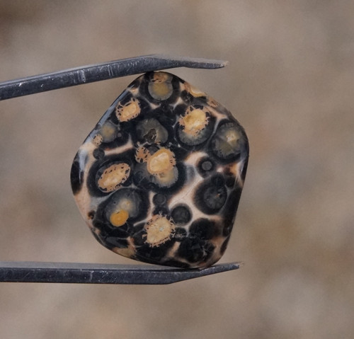 Jaspis leopardí D7700 — foto 2