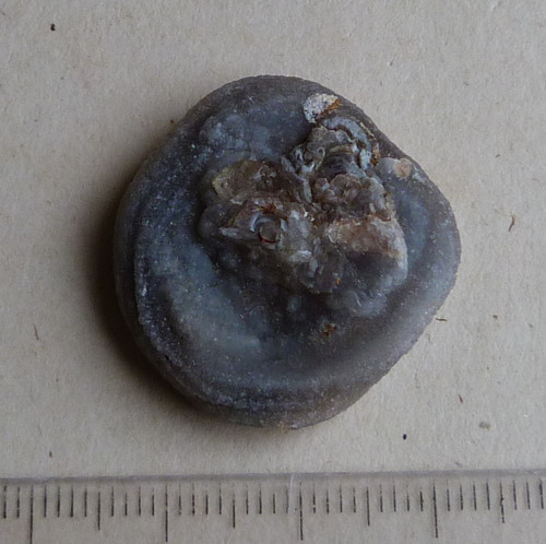 Chalcedon hadí oko — foto 4