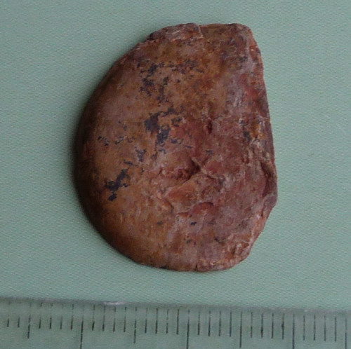 Amonit — foto 3