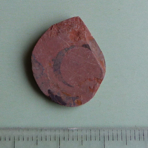 Amonit — foto 3