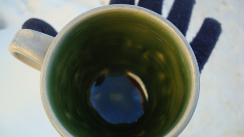 Medvěd — foto 4