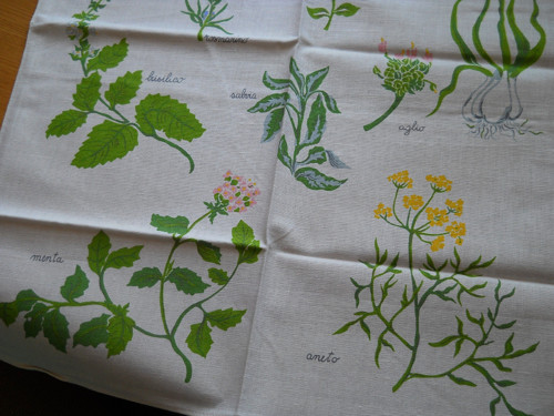 Aromatické rostliny...utěrka — foto 3