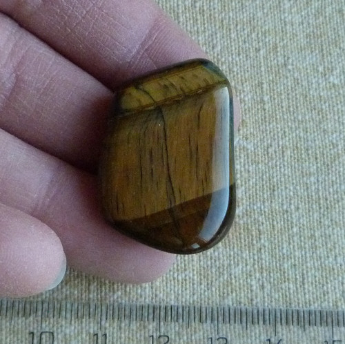 Tygří oko multicolor — foto 4