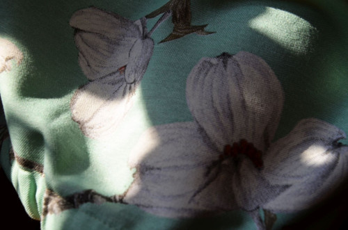 S magnolií — foto 5
