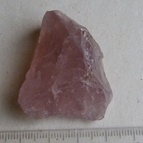 Růženín surový — foto 3