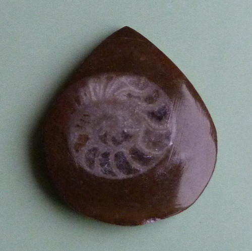 Amonit — foto 3