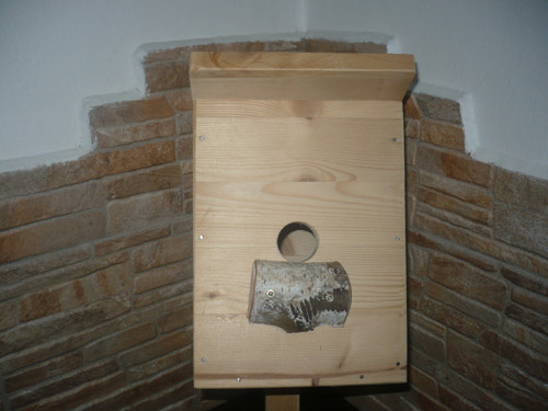 Ptačí budka — foto 2
