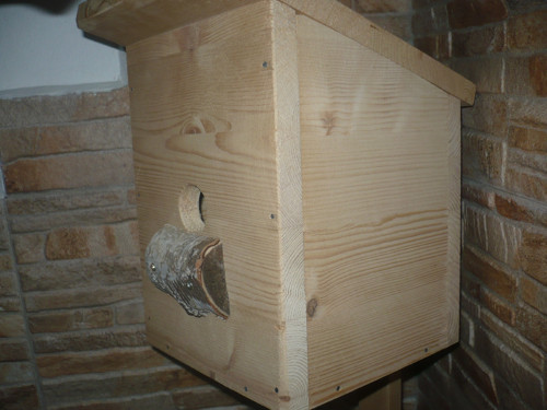 Ptačí budka — foto 3