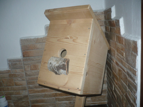 Ptačí budka — foto 4