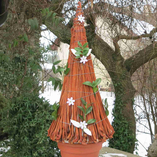 Stromeček jarní — foto 2