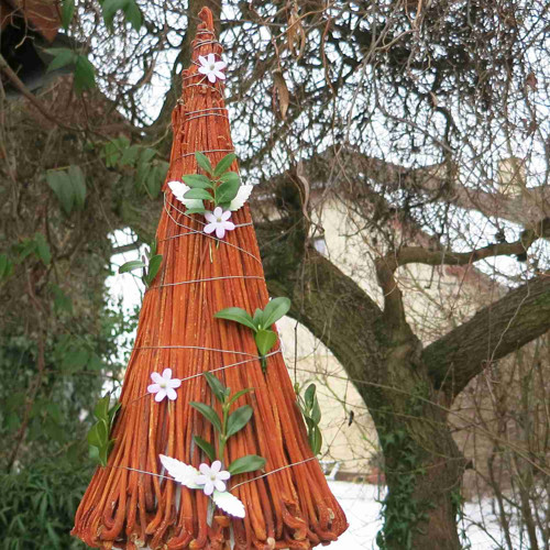 Stromeček jarní — foto 3