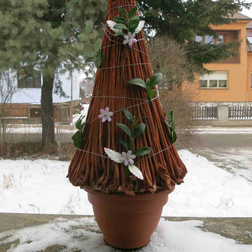 Stromeček jarní — foto 5