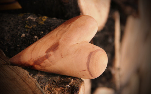Jabloňové dlachňadlo — foto 2