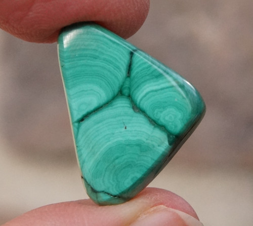 Malachit (24mm) - D7951 — foto 2
