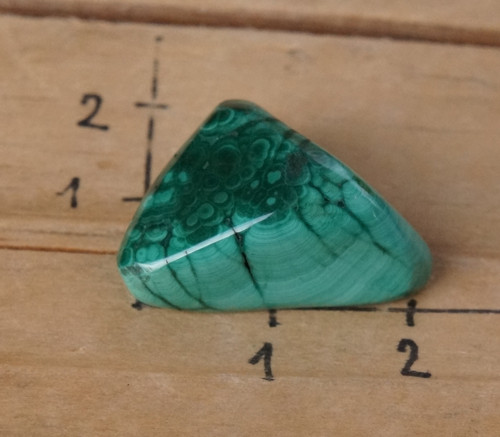 Malachit (24mm) - D7951 — foto 4