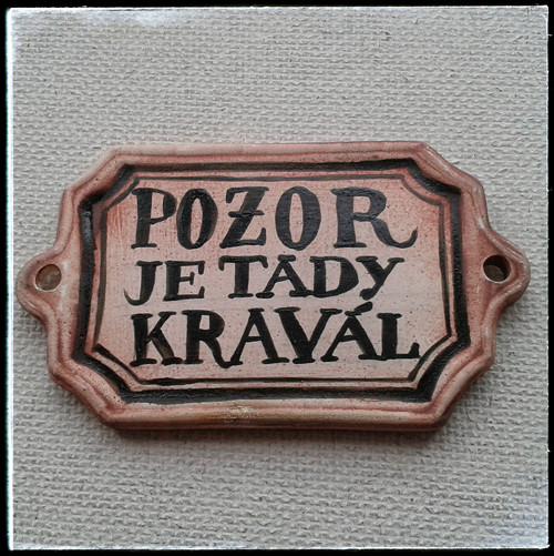 Pozor, je tady kravál — foto 2