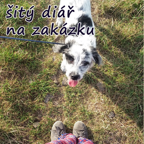 Šitý diář na míru — foto 2