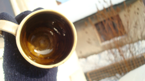 Hnědý jelen — foto 5