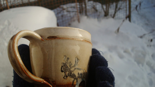 Hnědý jelen — foto 6