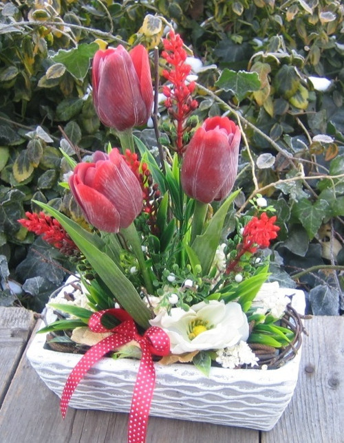 Červené tulipány — foto 4
