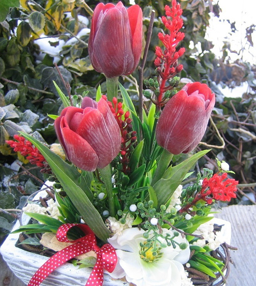 Červené tulipány — foto 5