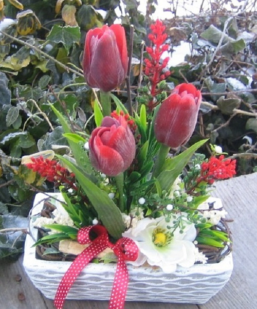 Červené tulipány — foto 6