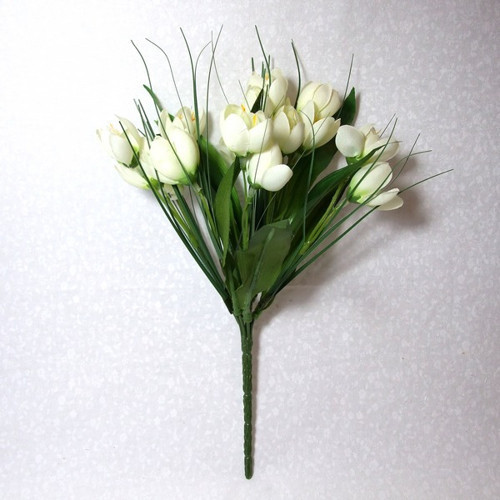 Trs krokusů - bílé — foto 2