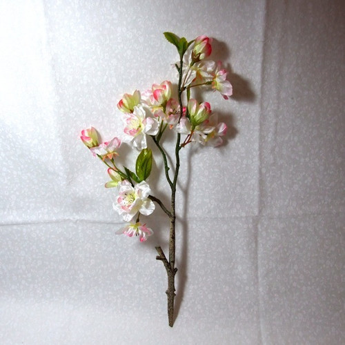 Jabloňový květ - větev 36 cm. — foto 3