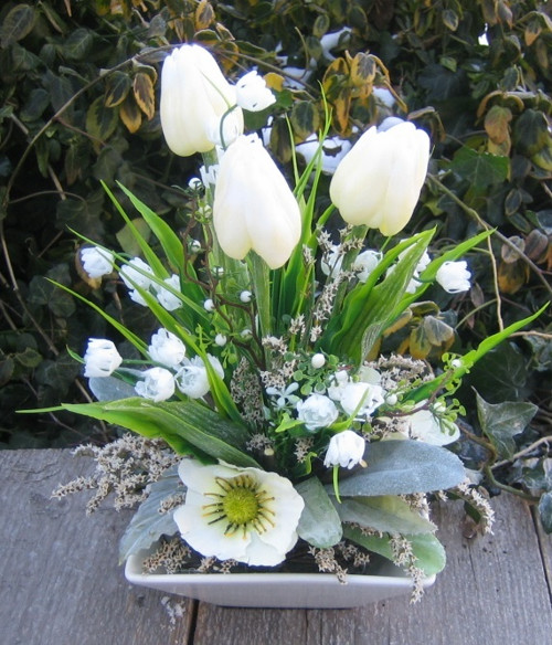 Něžné jaro — foto 2