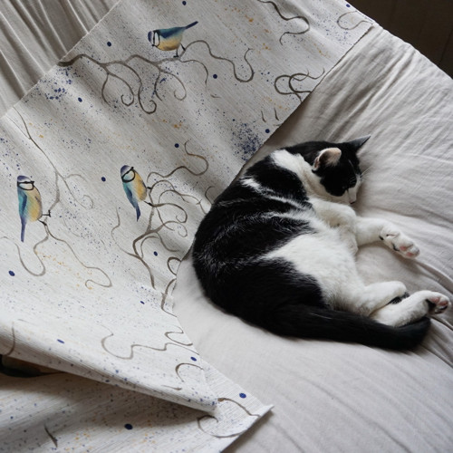 Čtyři sýkorky — foto 6