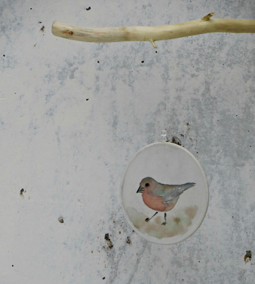 V letu — foto 2