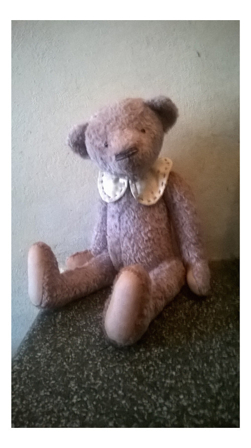 Medvídek Timmy — foto 3