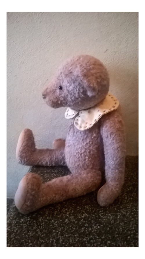 Medvídek Timmy — foto 4