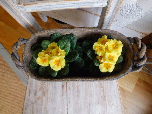 Truhlík — foto 3
