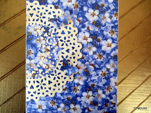 Forget-me-not — foto 2