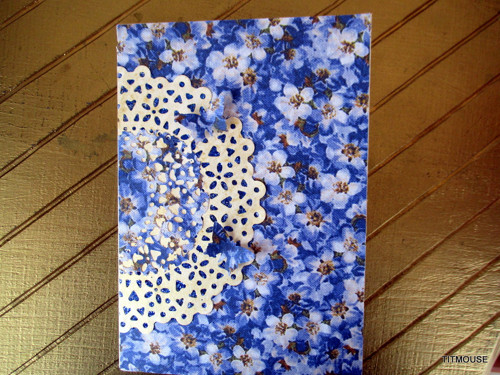 Forget-me-not — foto 3