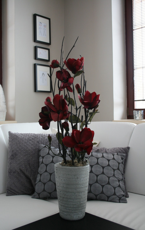 Vínové magnolie — foto 2