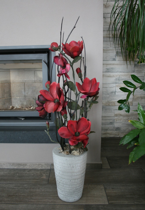 Vínové magnolie — foto 3